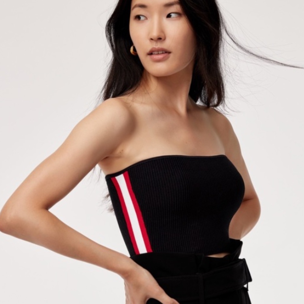 Aritzia Babaton Tube Top